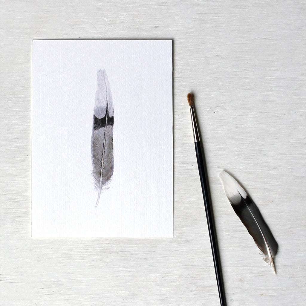 Feather Quill with Nib - birds & words {a home boutique}