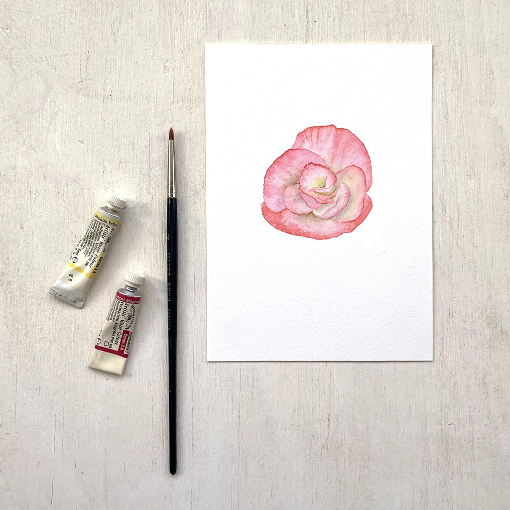 A 5 x 7 inch art print featuring a delicate watercolour painting of a soft peach and yellow begonia flower. Canadian artist Kathleen Maunder