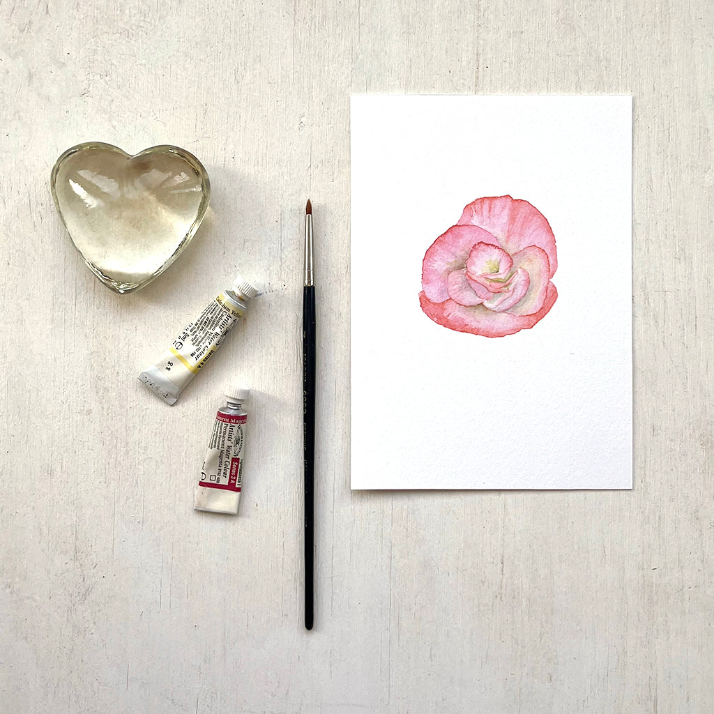 A 5 x 7 inch art print featuring a delicate watercolour painting of a peachy coral begonia flower. Artist Kathleen Maunder