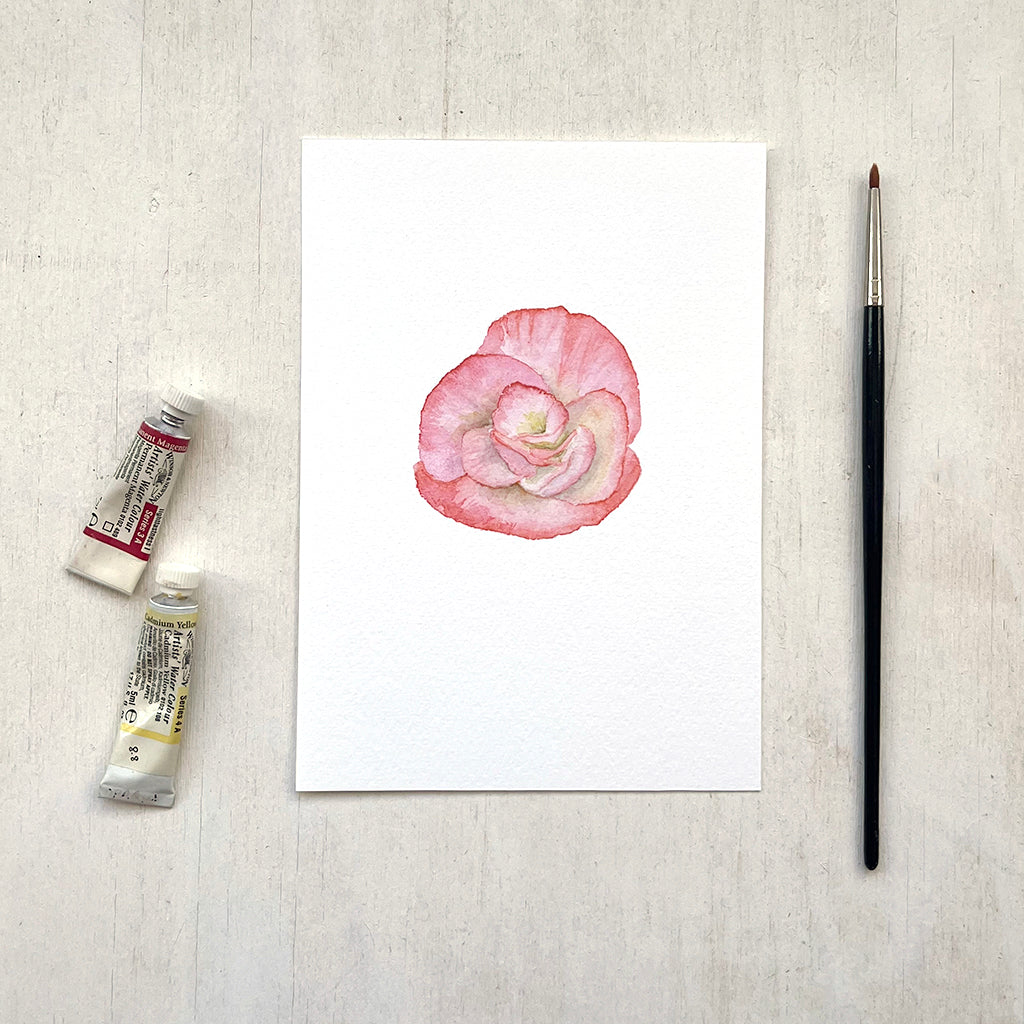 A 5 x 7 inch art print featuring a delicate watercolour painting of a salmon-coloured begonia flower.