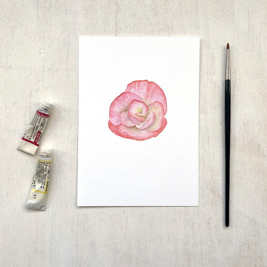 A 5 x 7 inch art print featuring a delicate watercolour painting of a salmon-coloured begonia flower.