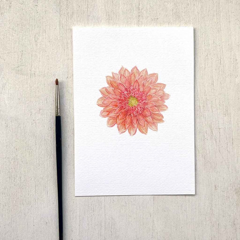 A 5 x 7 inch botanical art print featuring a watercolour painting of a coral coloured dahlia flower.