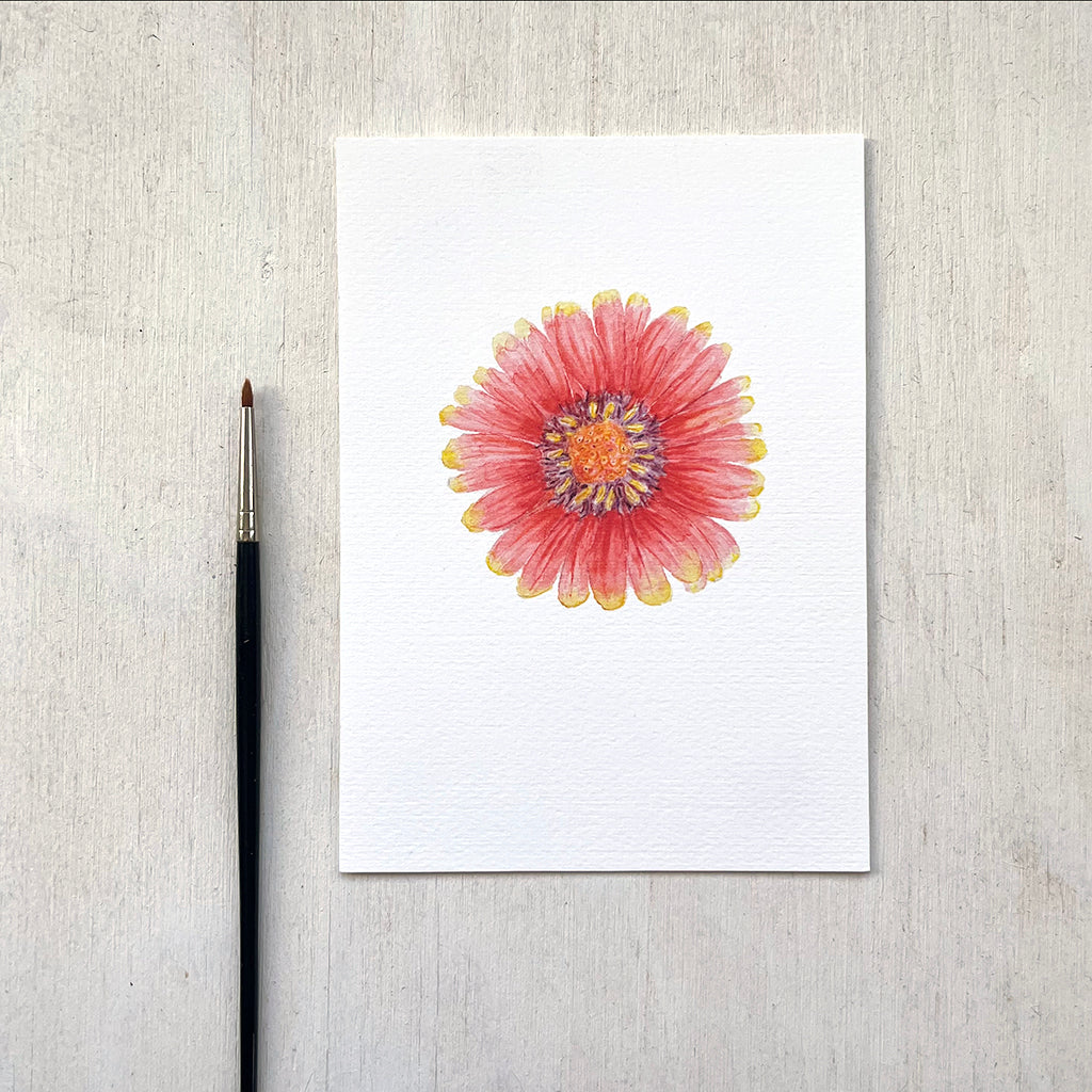 A watercolour painting of a red and yellow gaillardia flower. Available as a 5 x 7 print.