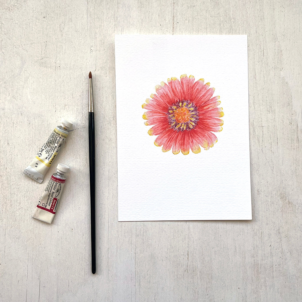 An art print featuring a watercolour painting by Canadian artist Kathleen Maunder of a red and yellow gaillardia flower.