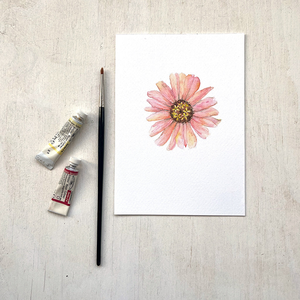 A delicate and detailed watercolour painting of a peach colored zinnia flower with a brown and yellow centre. Artist Kathleen Maunder.