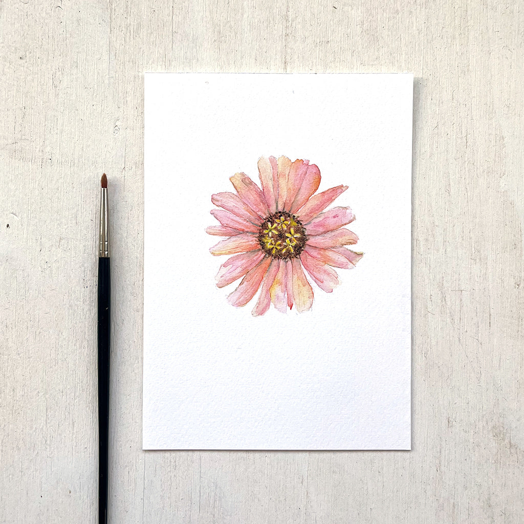 A 5 x 7 inch art print featuring a delicate watercolour painting of a peach zinnia flower.