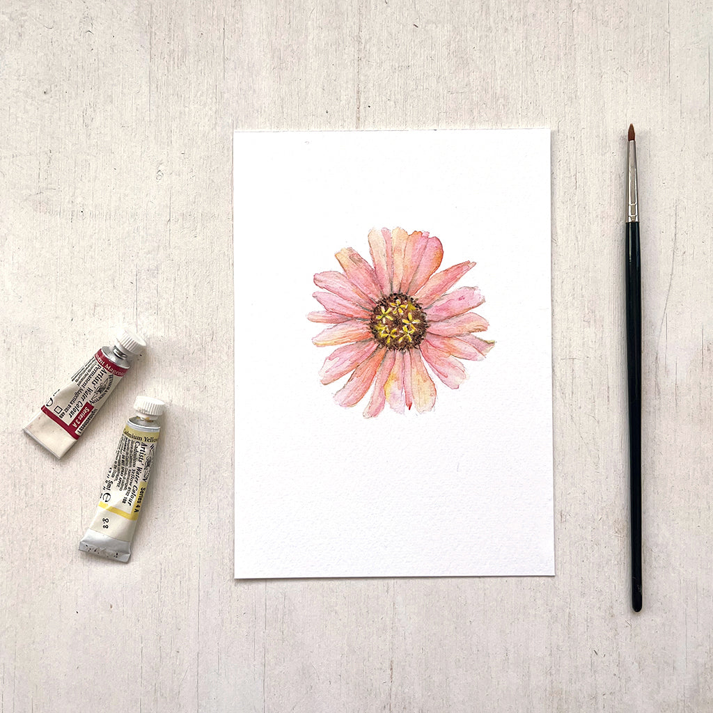 A delicate and detailed watercolour painting of a peach toned zinnia flower with a brown and yellow centre. Artist Kathleen Maunder.