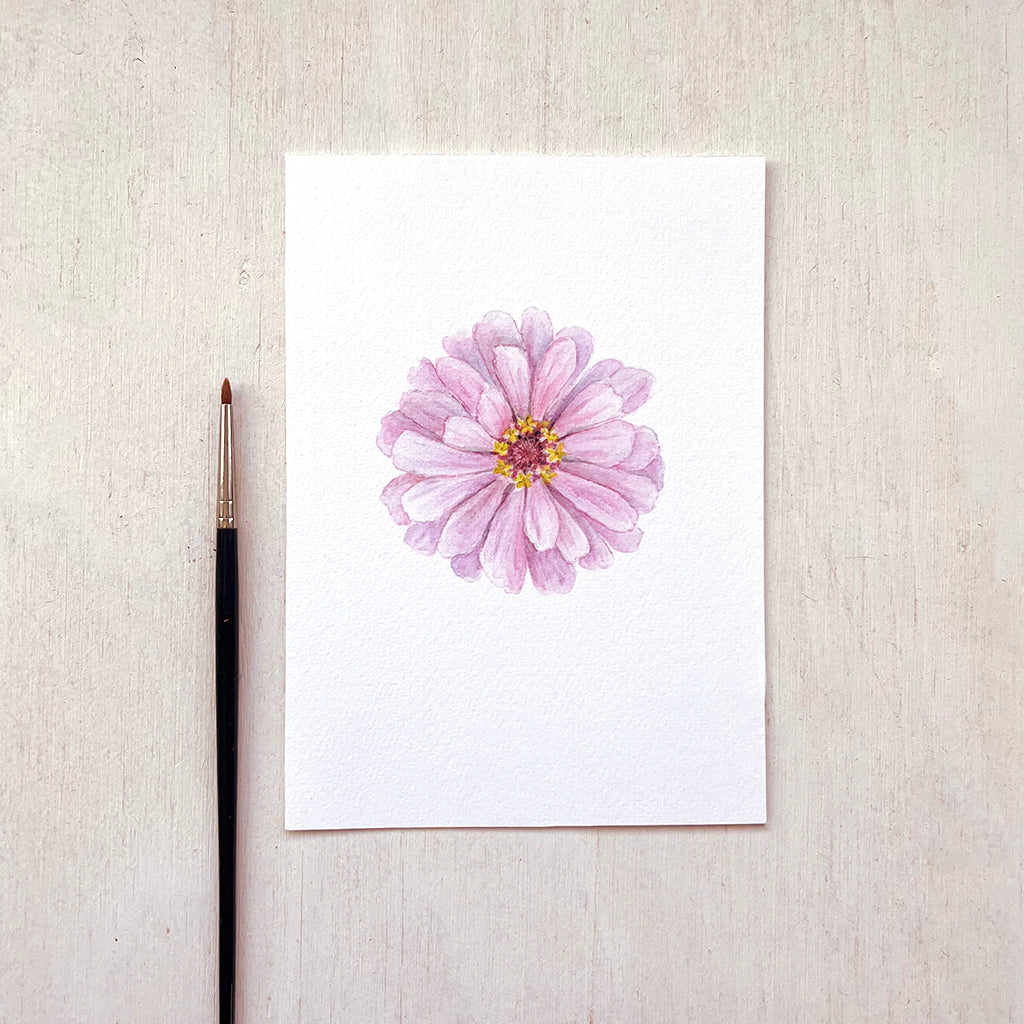 A beautiful pink zinnia blossom painted in delicate watercolour by Canadian artist Kathleen Maunder.