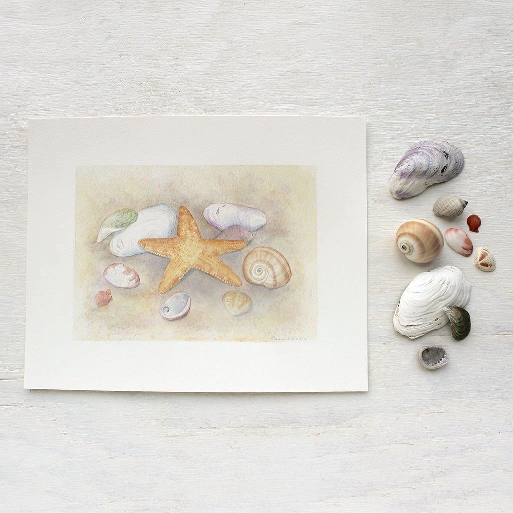 Beach decoration with starfish and shops seashells-ljlj