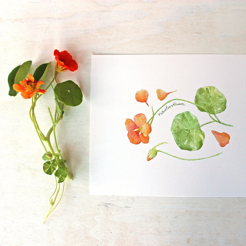 Poppies and Nasturtiums Watercolour Print order